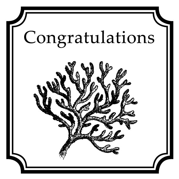 Square Salutations Congratulations Mix and Match Designer Stamp Clip from Artisan Stamp